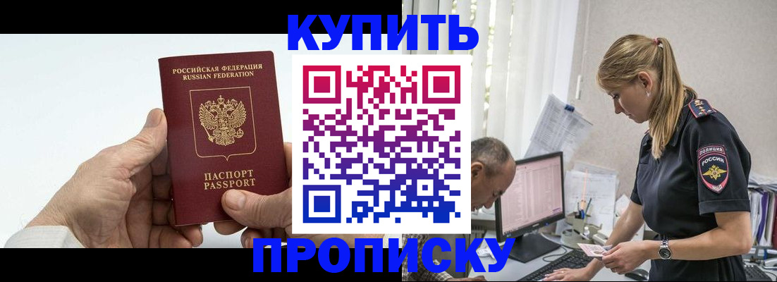 прописка поиск в Шадринске
